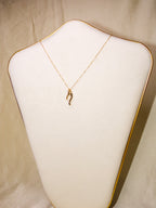 Colar pimento da sorte