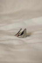 Anel prateado abstrato