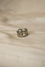 Anel prateado corrente