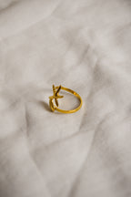 Anel dourado Concha e Estrela